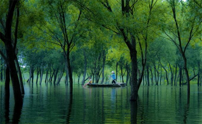 台儿庄国家运河湿地公园自驾旅游