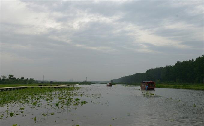 台儿庄运河湿地公园