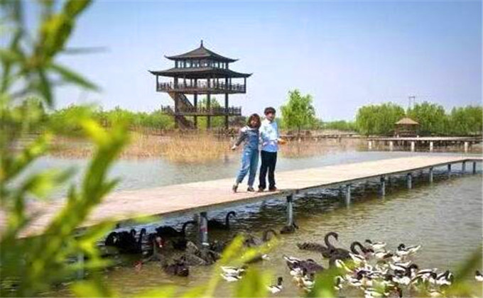 台儿庄双龙湖观鸟园